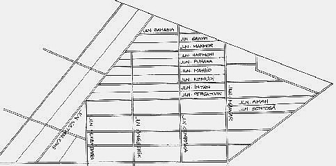 Pelan Kawasan Kampung